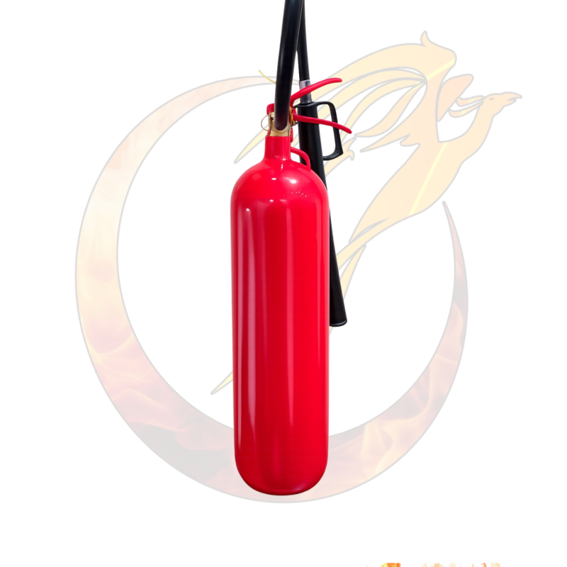 EXTINTOR DE 10 LIBRAS CO2